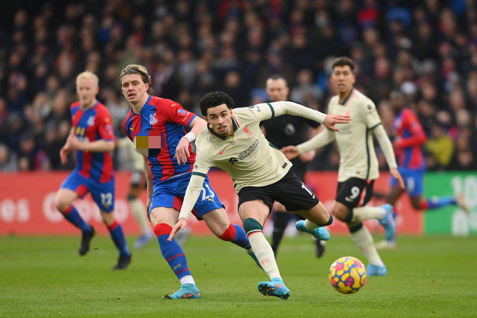 展示他独特 展示他独特